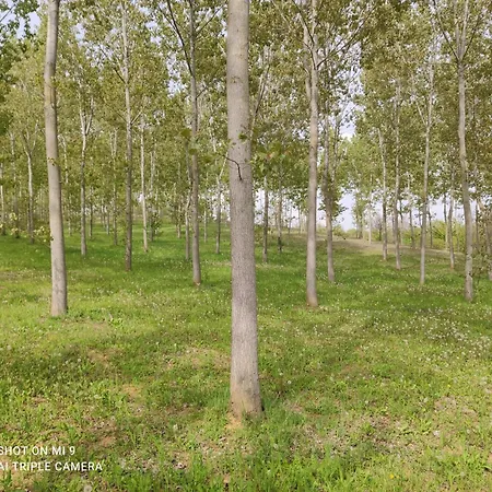 Castello Quattro Torri