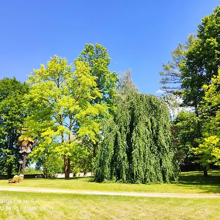 Castello Quattro Torri בית הארחה 3*